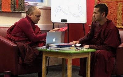 Tiibeti Meditsiini terapeudi töötuba toimub nüüdsest veebi vahendusel!