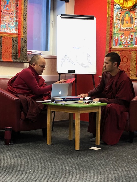 Tiibeti Meditsiini terapeudi töötuba toimub nüüdsest veebi vahendusel!